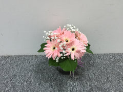 Gerbera in Vase - TBF4163