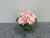Gerbera in Vase - TBF4163