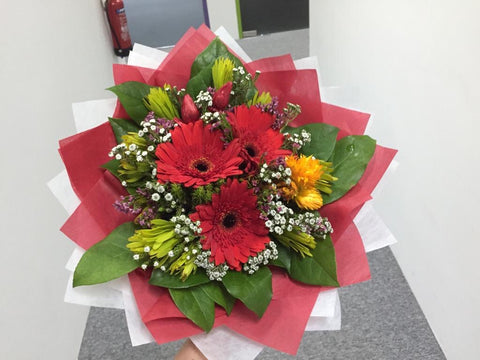Gerbera Bouquet     - FBQ1180