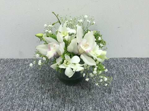 Cymbidium Arrangement - TBF4128