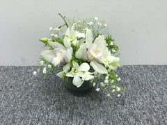 Cymbidium Arrangement - TBF4128