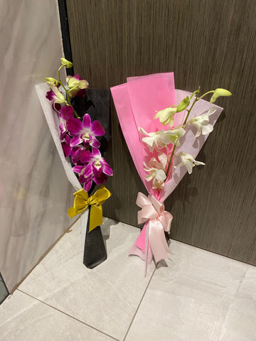 Single stalk Orchid- FBQ1518