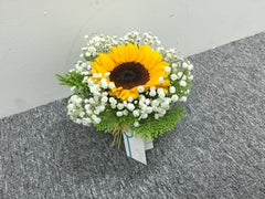 Simple Sunflower in Vase - TBF4167