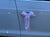 Simple Theme Car Decoration - WED82234