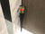 Single Carnation in Special Box-  FBQ1021