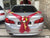 Lovely Bear Car Decoration        - WED0615