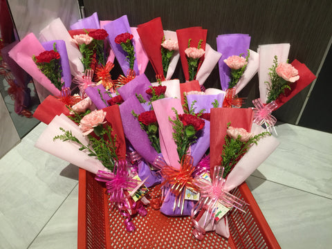 Single Carnation - FBQ1512