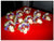 Special White Rose Corsage - WED0206
