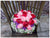 Red & Pink - WED0148