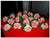 Carnation Corsage - WED0246